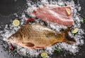 Fresh raw whole mirror carp and fish fillet with spices, lemon on ice over dark stone background. Creative layout made of fish Royalty Free Stock Photo