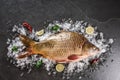 Fresh raw whole mirror carp fish with spices, lemon on ice over dark stone background. Creative layout made of fish, Seafood