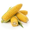 Fresh raw yellow corn isolated on white background Royalty Free Stock Photo