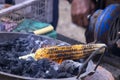 Fresh Raw Yellow corn roasted on fire from black carbons Royalty Free Stock Photo