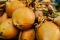 Fresh raw yellow and green coconuts fruits. Royalty Free Stock Photo