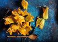 Fresh and raw zucchini flower Royalty Free Stock Photo