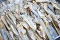 Fresh razor shell on ice at the seafood booth Royalty Free Stock Photo
