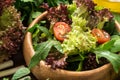 Fresh ready to eat salad with olive oil Royalty Free Stock Photo