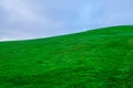 Fresh real green grass lawn on hill Royalty Free Stock Photo