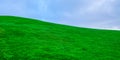 Fresh real green grass lawn on hill with blue cloud sky Royalty Free Stock Photo