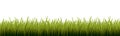 Fresh realistic green grass - vector illustration Royalty Free Stock Photo