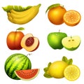 Fresh realistic juicy fruits slice vector illustration 3d organic vegetarian isolated greengrocery fruit.