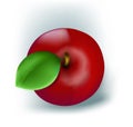 Fresh red apple Royalty Free Stock Photo