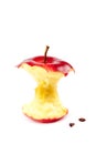 Fresh red apple core on white background. Royalty Free Stock Photo