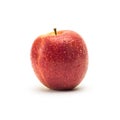 Red apple with waterdrops Royalty Free Stock Photo