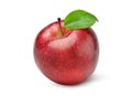 Fresh red Apple fruit with green leaf