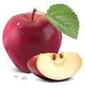 Fresh red apple with green leaf Royalty Free Stock Photo