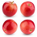Fresh red apple isolated on white. Collection. With clipping path Royalty Free Stock Photo