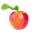 Fresh red apple with leaf Royalty Free Stock Photo