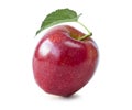 Fresh red apple  on white background. Isolated concept and clipping path Royalty Free Stock Photo