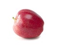 Fresh red apple  on white background. Isolated concept and clipping path Royalty Free Stock Photo