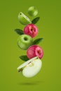 Fresh Red apples and Green apple slices on a green background Royalty Free Stock Photo