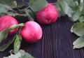 Fresh red apples with green leaves on wooden table. On wooden background.