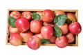 fresh red apples with leaves in a wooden box isolated on white background Royalty Free Stock Photo