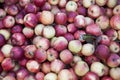 Fresh red apples on the market . Many apples a great backdrop for a fruit store. Royalty Free Stock Photo