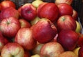 Fresh red apples on retail market close up Royalty Free Stock Photo