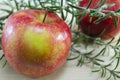 Fresh red apples and rosemary on a table Royalty Free Stock Photo