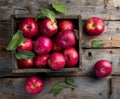 Fresh Red Apples in Rustic Wooden Box on Weathered Table Surface Royalty Free Stock Photo