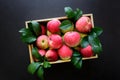 Fresh red apples in the wooden box on black background. Royalty Free Stock Photo