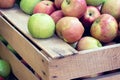 Fresh red apples in a wooden crate Royalty Free Stock Photo