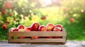 Fresh red apples in wooden crate on table and blurred apple farm background. Generative AI Royalty Free Stock Photo