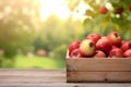 Fresh red apples in wooden crate on table and blurred apple farm on the background, mockup product display wooden board. Royalty Free Stock Photo