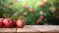 Fresh red apples on wooden table and blurred apple farm on the background, mockup product display wooden board. Royalty Free Stock Photo