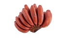 fresh red banana isolated on white background. group of varieties of banana with reddish-purple skin Royalty Free Stock Photo