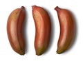 red banana, aka red dacca isolated on white Royalty Free Stock Photo