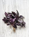 Fresh red basil herbs in a bunch. Aromatic healthy spices on a light wooden background