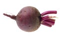 Fresh red Beet on a white background Royalty Free Stock Photo