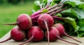 Fresh Red Beetroots Harvest Royalty Free Stock Photo