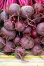 Fresh red beets Royalty Free Stock Photo