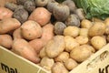 Fresh red beets, potatoes, green cabbage, sweet potatoes Royalty Free Stock Photo