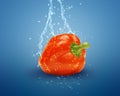 Fresh red bell pepper Royalty Free Stock Photo