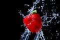 Fresh red bell pepper gets hit by a water stream Royalty Free Stock Photo