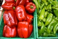 Fresh red bell pepper and green chilli in green plastic boxs at the outdoor fresh market Royalty Free Stock Photo