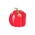 Fresh Red Bell Pepper on White Background. Royalty Free Stock Photo