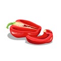 Fresh red bell peppers group. Cartoon flat style icon. Red halved pepper and paprika slice vector illustration. Vegetable farm fre Royalty Free Stock Photo