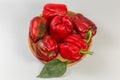 Fresh red bell peppers on wooden dish on grey background Royalty Free Stock Photo