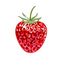 Fresh red berry strawberry, juicy dessert berry on white background, realistic icon, vector illustration Royalty Free Stock Photo