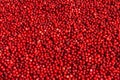 Fresh Red Bilberry Background