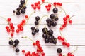 Fresh red and black currant on a white wooden background Top view Royalty Free Stock Photo