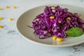 Fresh red cabbage salad with corn. Vegeterian and diet food Royalty Free Stock Photo